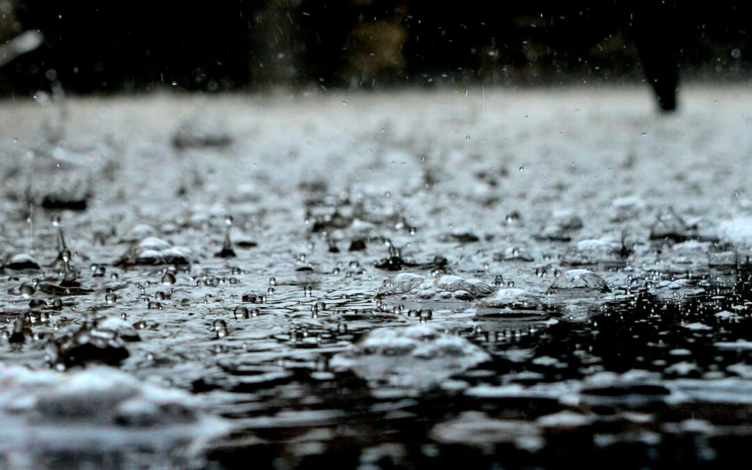 Moving in the Rain: How to Keep Your Move Dry, Safe, and Stress-Free