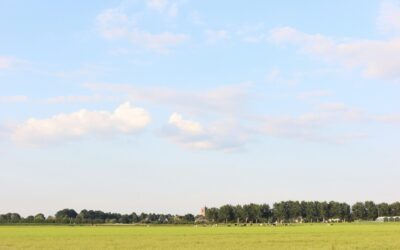 From Cornfields to Cityscapes: The Pros and Cons of Moving to the Midwest