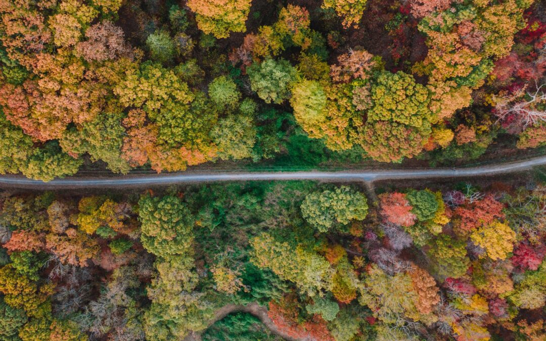 From Parks to Pints: 7 Unmissable Things to Do in Shawnee, KS