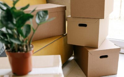 Eco-Friendly Moving Supplies: Here’s What to Know