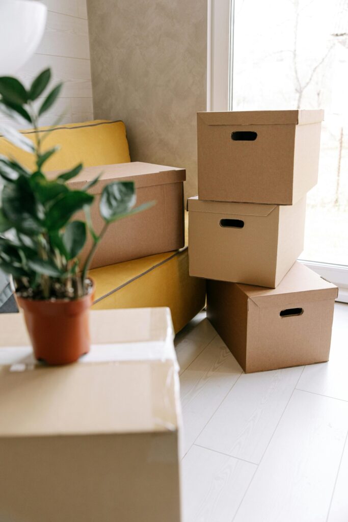 eco-friendly moving supplies