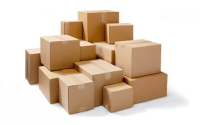 Library Moving: Best Ways to Move a Lot of Books