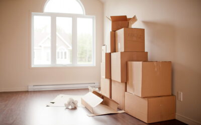 Moving Boxes vs. Plastic Bins – Pros and Cons of Both