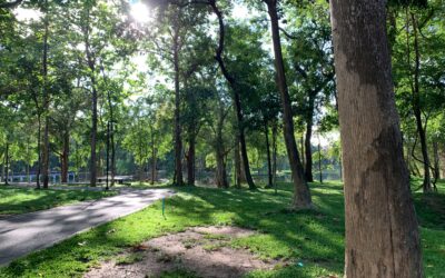 Top 7 Kansas City Parks to Visit